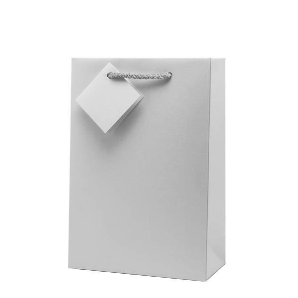 luxury silver gift bag