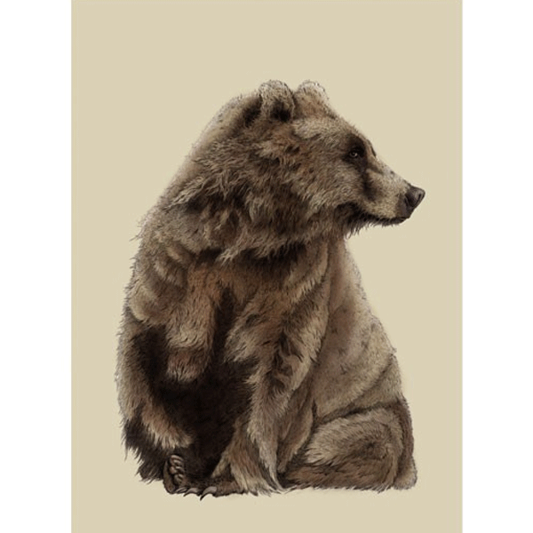brown bear birthday card