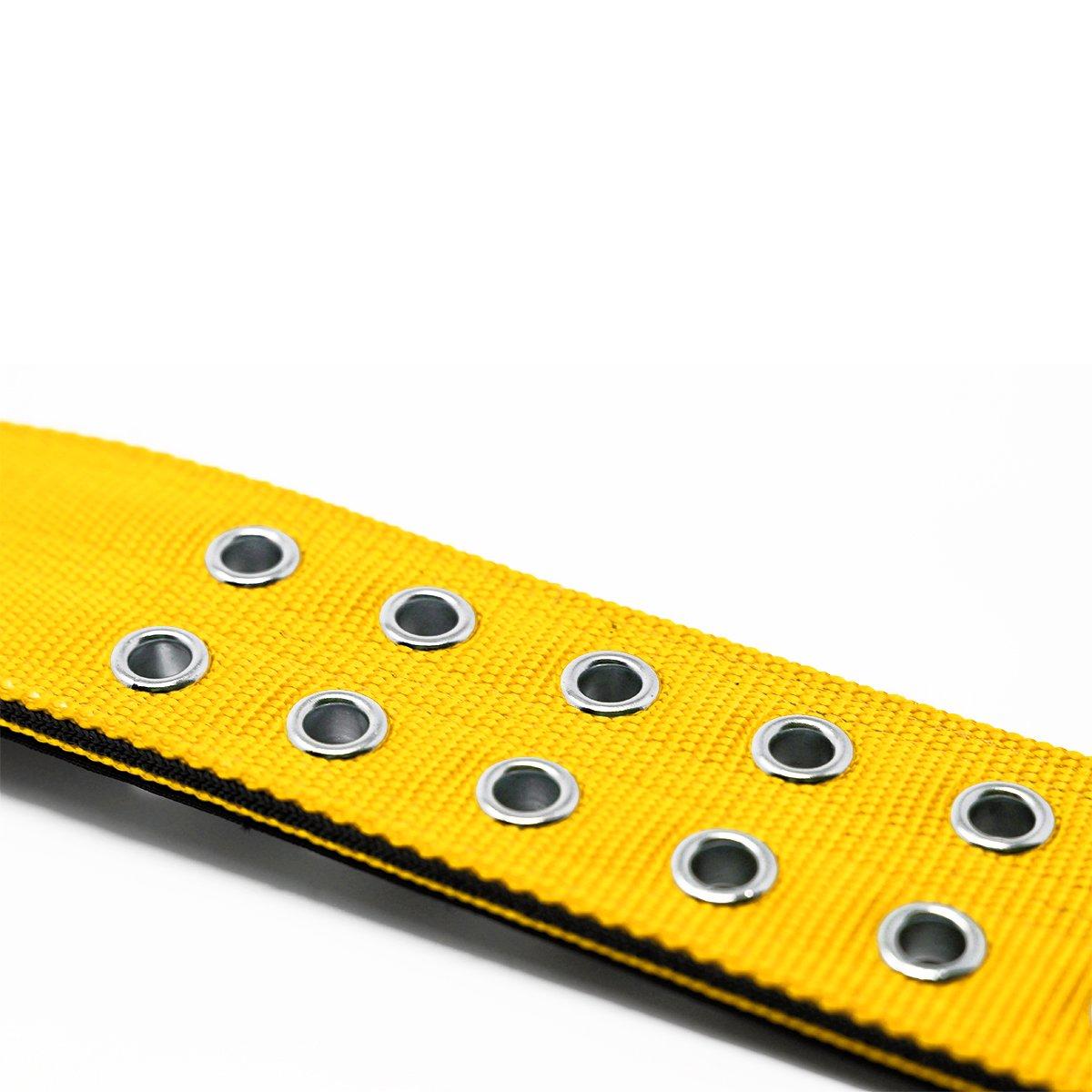 5cm Sporting Collar - Mustard Yellow