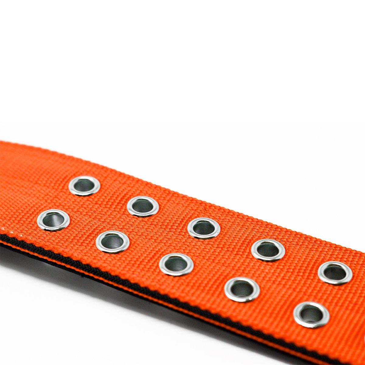 5cm Sporting Collar - Orange
