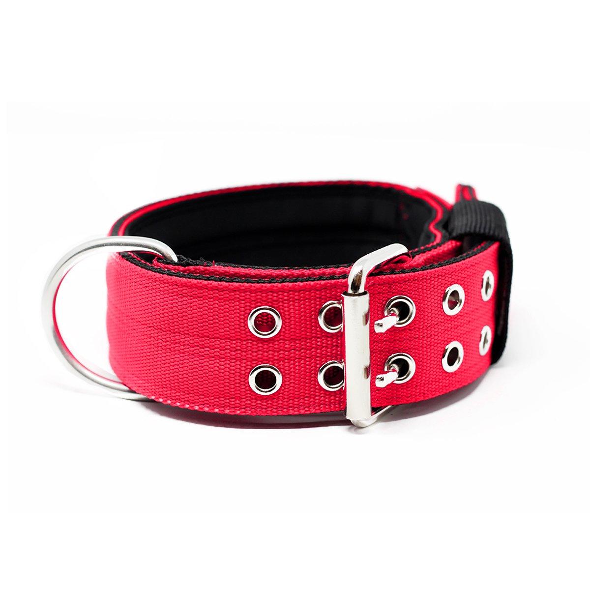 5cm Sporting Collar - Red
