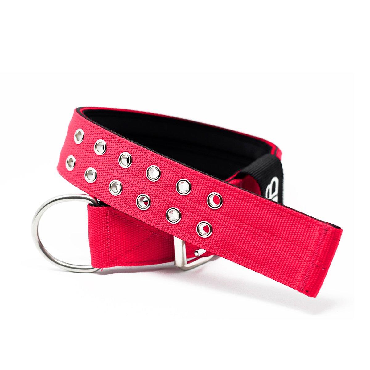 5cm Sporting Collar - Red