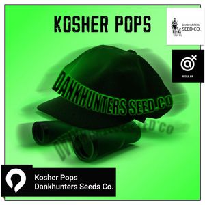 Kosher Pops
