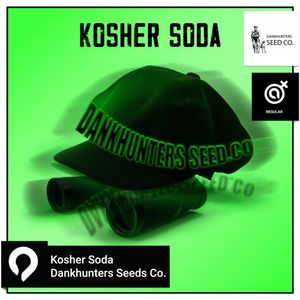 Kosher Soda