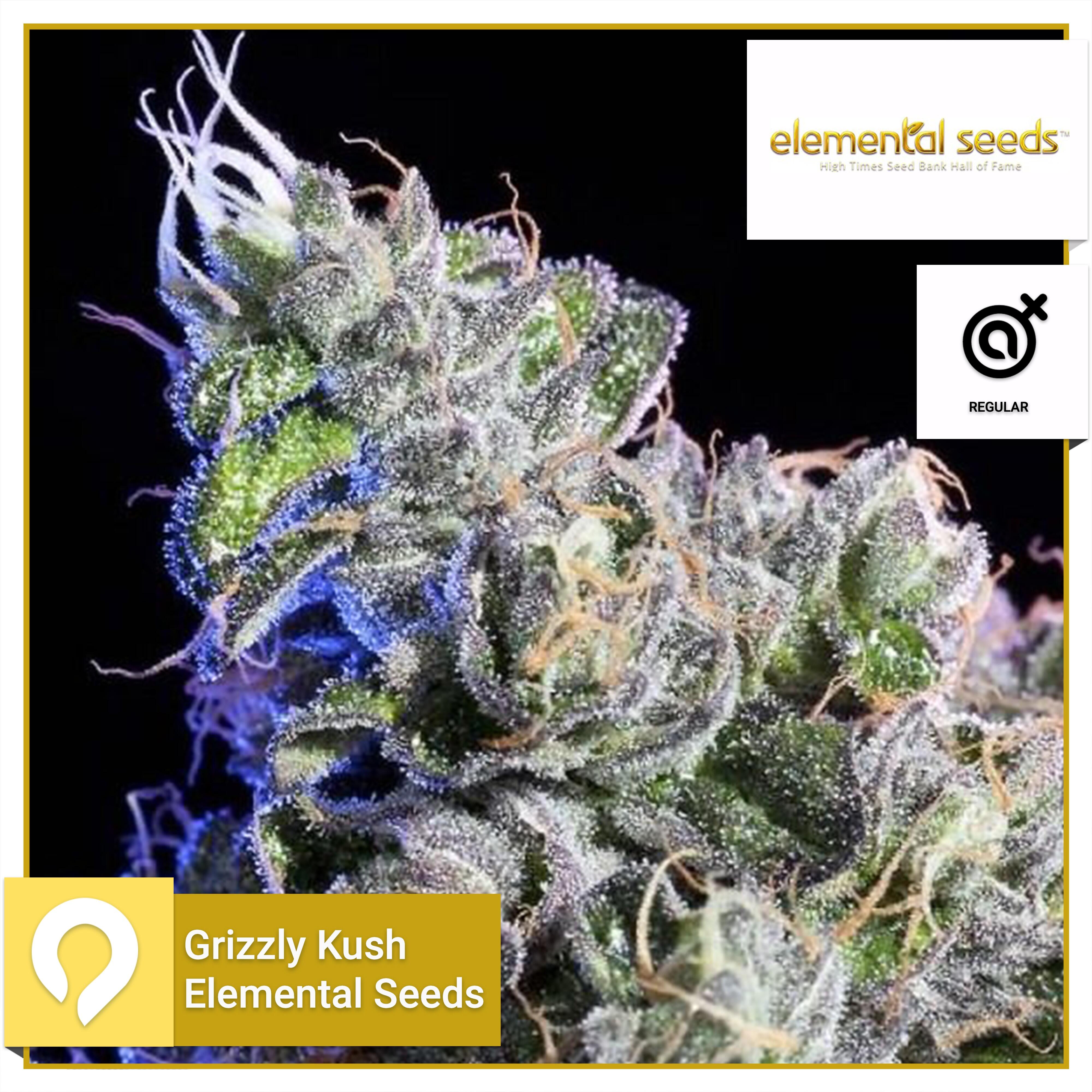 Grizzly Kush - Elemental Seeds - Regular Seeds | Kazam Seeds