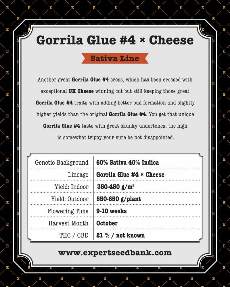 Gorilla Cheese