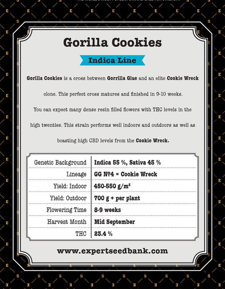 Gorilla x Cookies