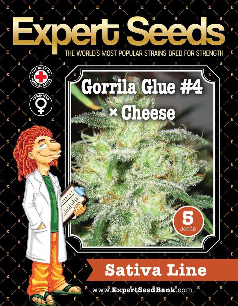Gorilla Cheese