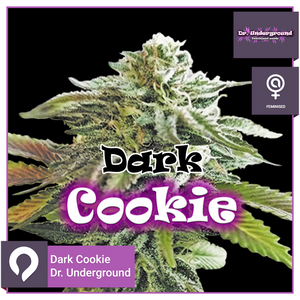 Dark Cookie