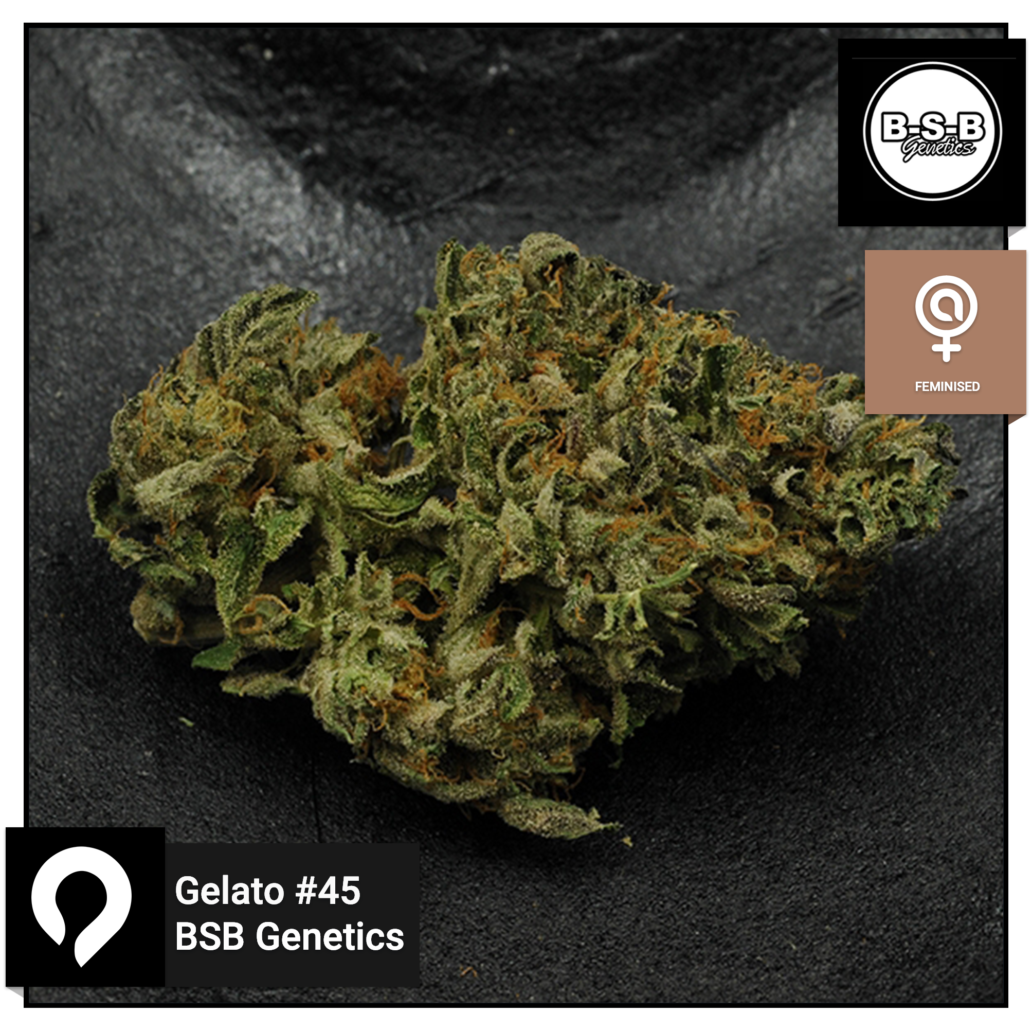 Gelato #45