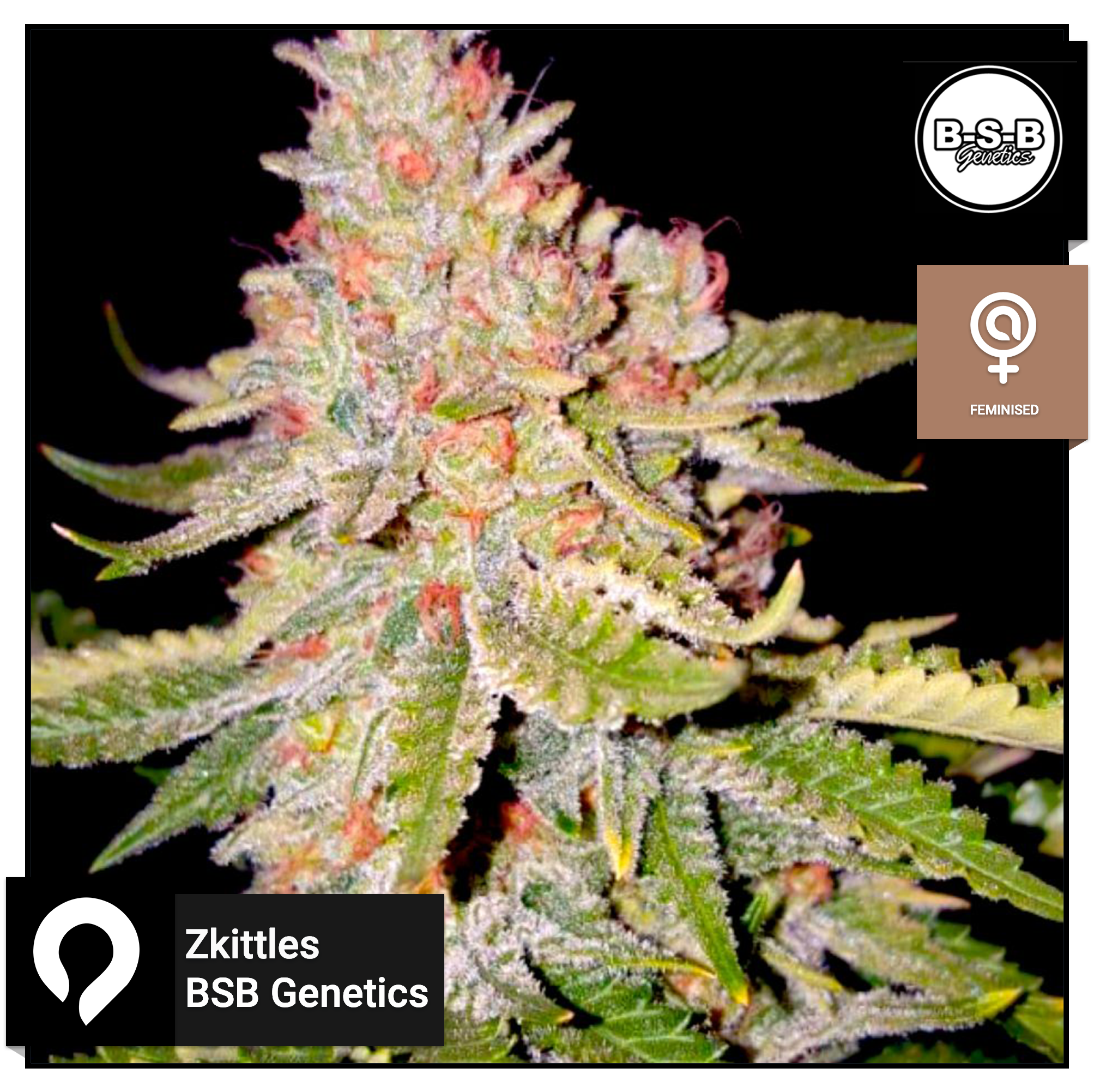 Zkittles