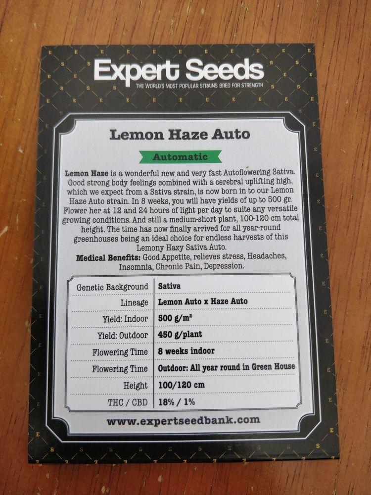 Lemon Haze Auto