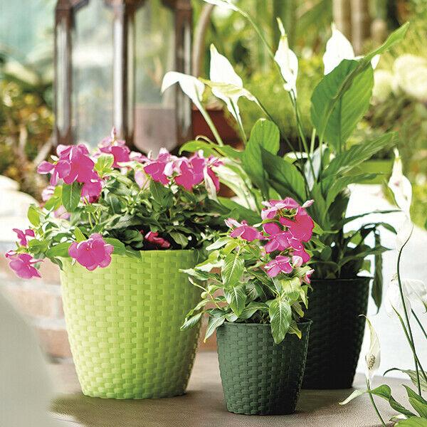 Rattan Style Round Plastic Plant Flower Pots Herb Indoor Outdoor Garden Coloured 