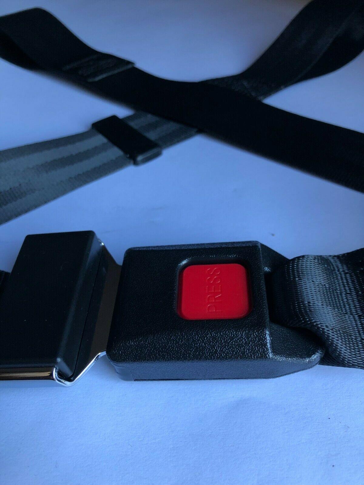 Seat Belt with Loop Ends