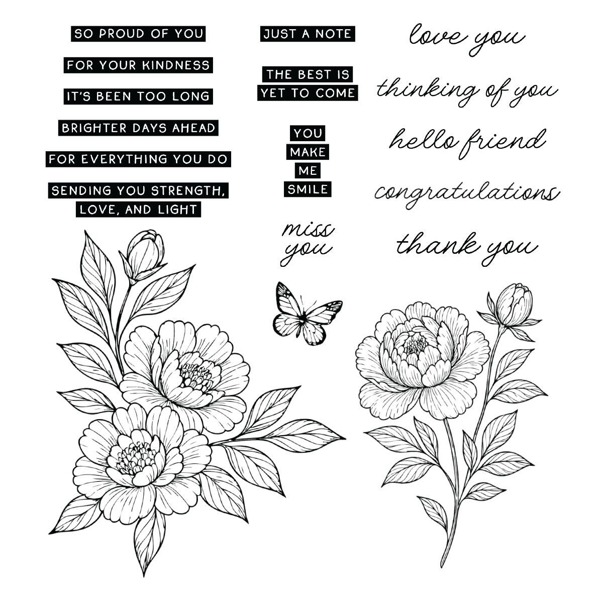 Spellbinders - Sketched Peonies Stamp and Die Bundle by Simon Hurley