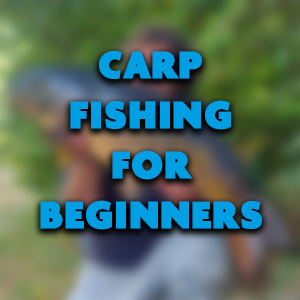 Carp Fishing for Beginners – A BAF Guide
