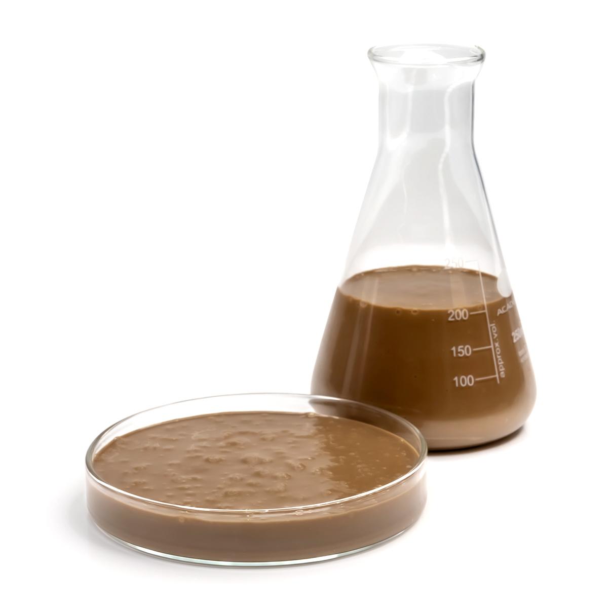 Hydrolyzed Chicken Liver supplier Hydrolyzed Chicken Liver supplier