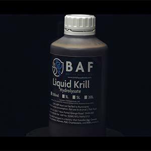 Krill Hydrolysate Now Available