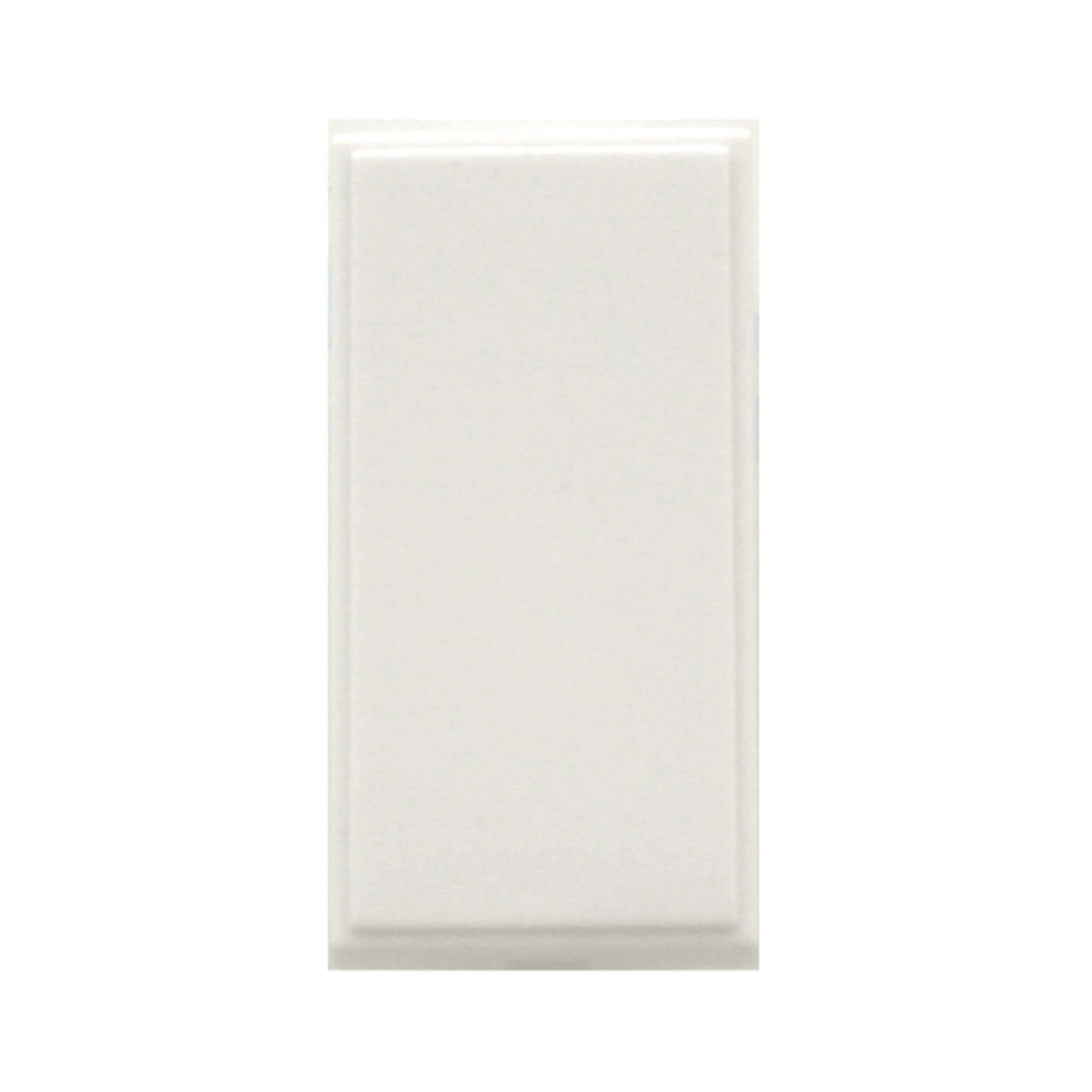 Single Blank Module White
