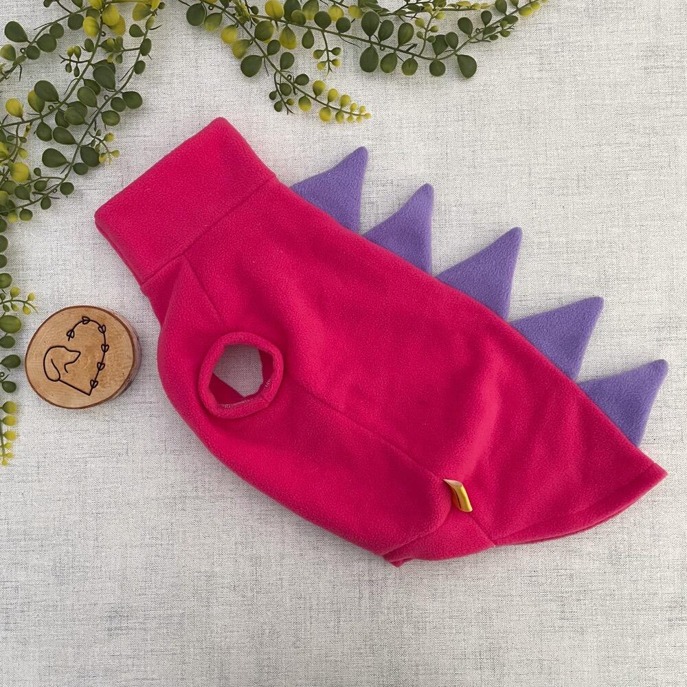 Waterproof Fleece Dinosaur Jumper Lottie s Label
