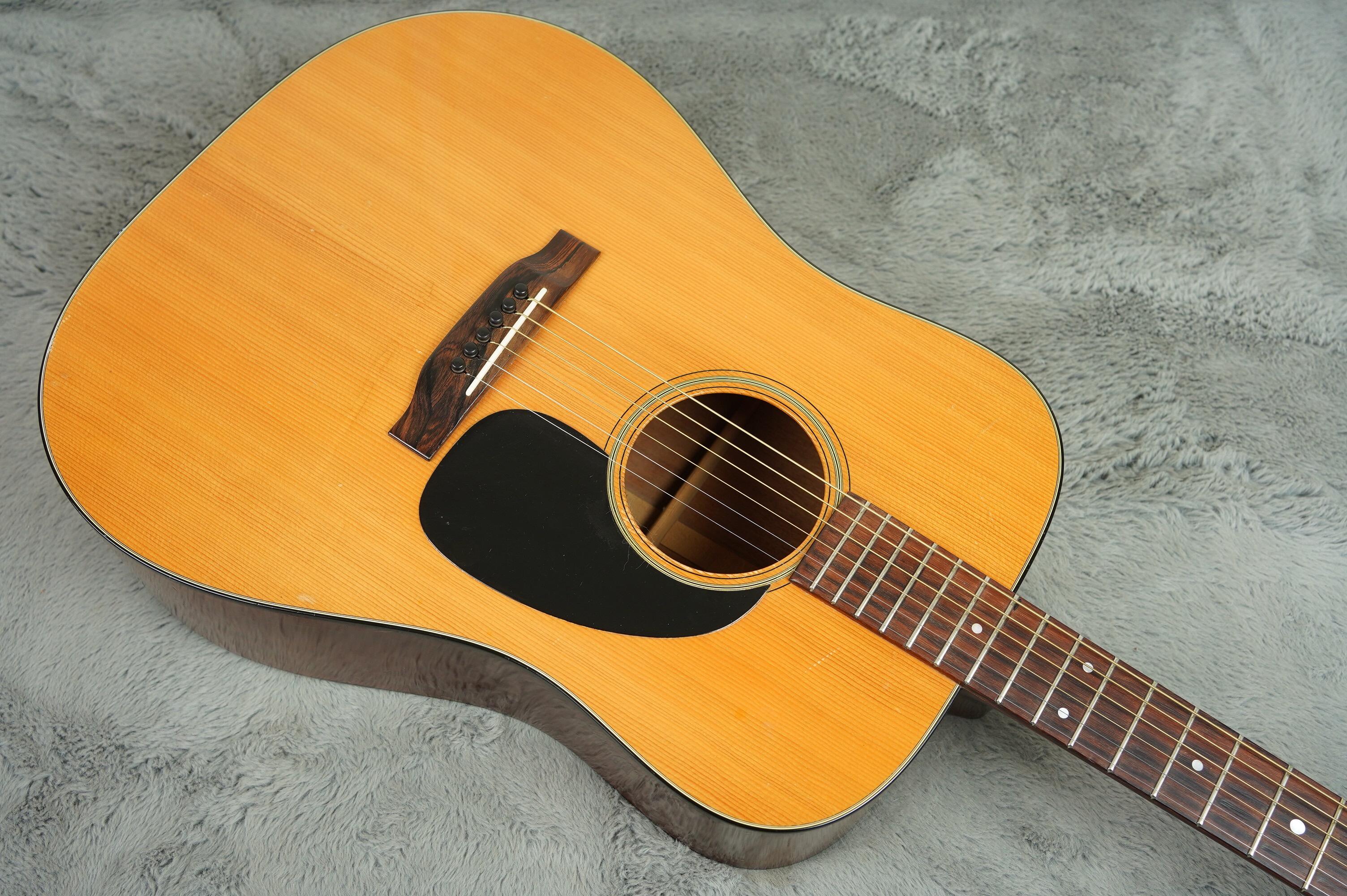 1972 Martin D-18 + HSC