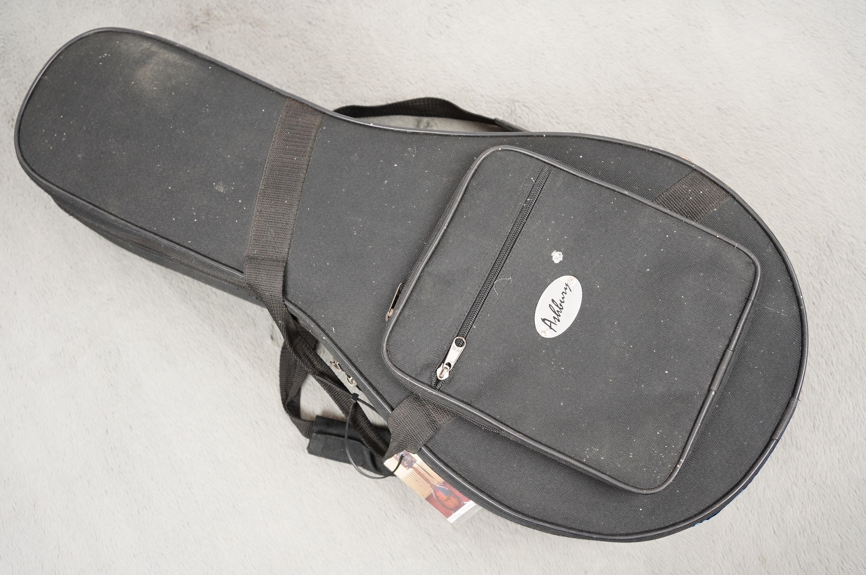 1992 Washburn Mandolin