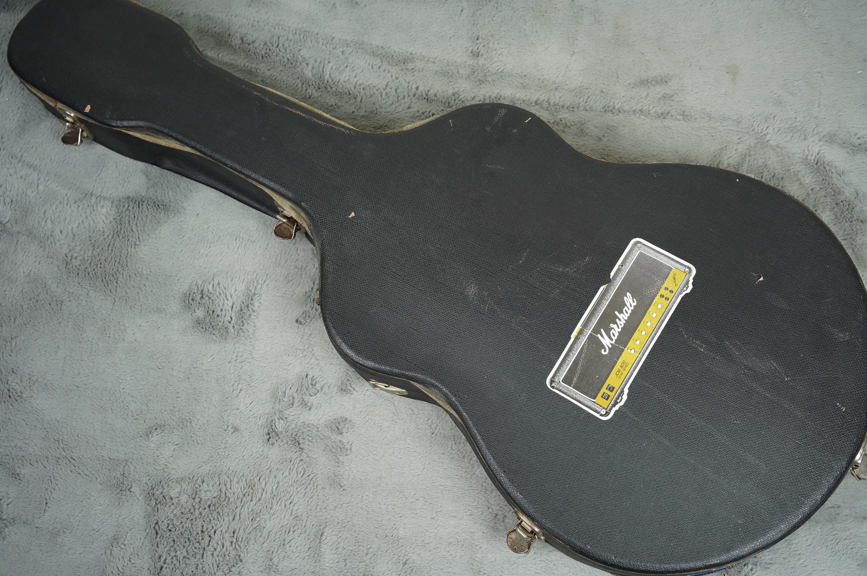 Epiphone casino on sale guitar case