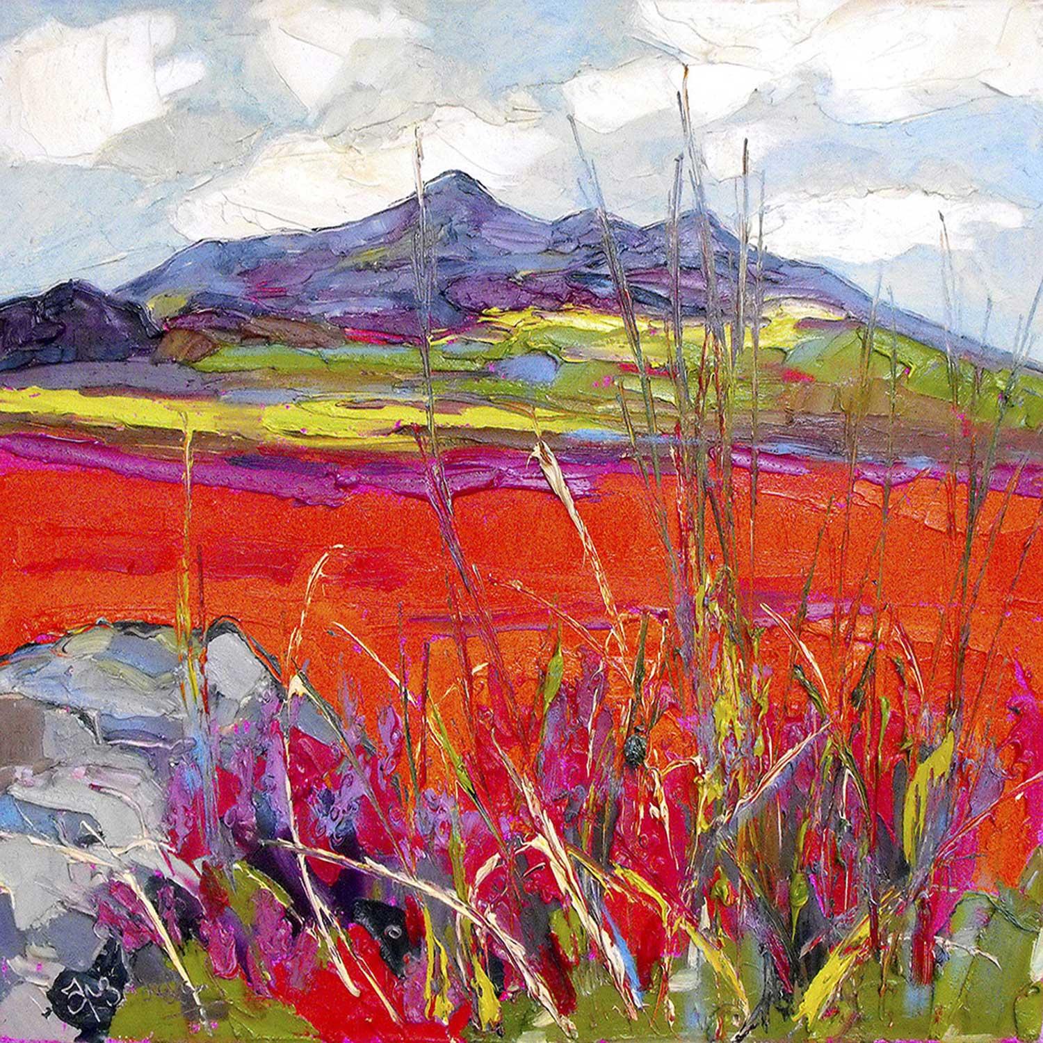 Pale Sky, the Cuillins by Judith I Bridgland
