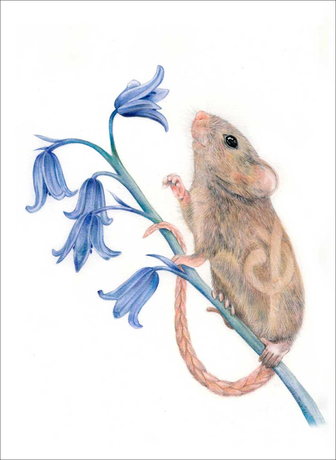Bluebell Blessings Art Print from an original painting by artist Marjory Tait