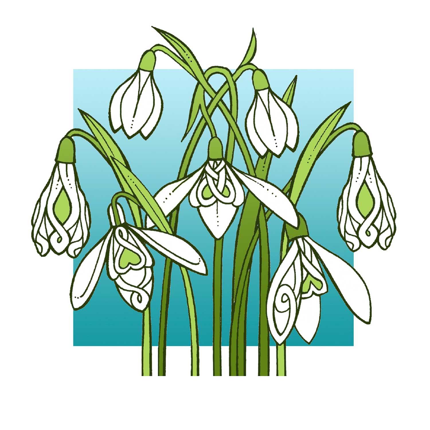 Snowdrops by artist Marjory Tait