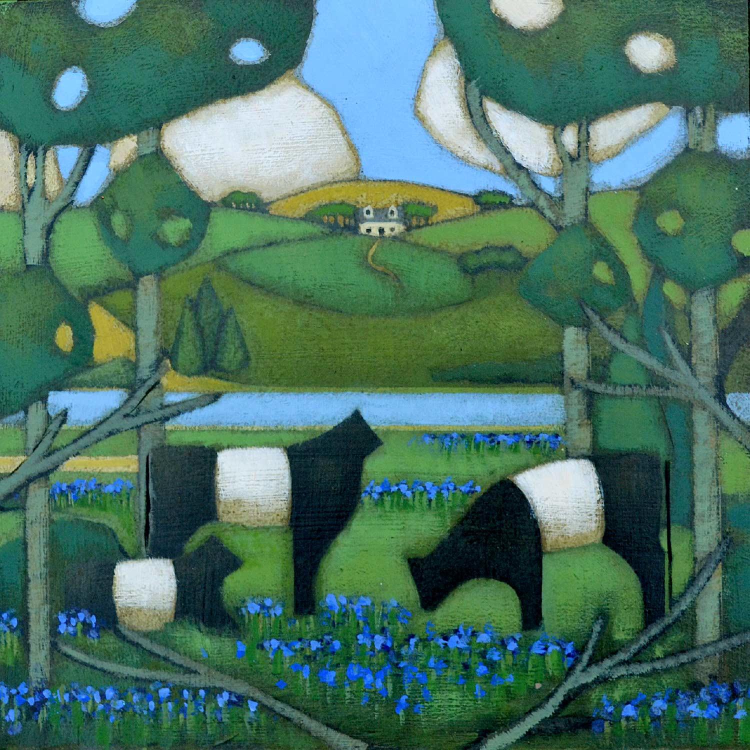 Galloway Bluebells by Fiona Millar
