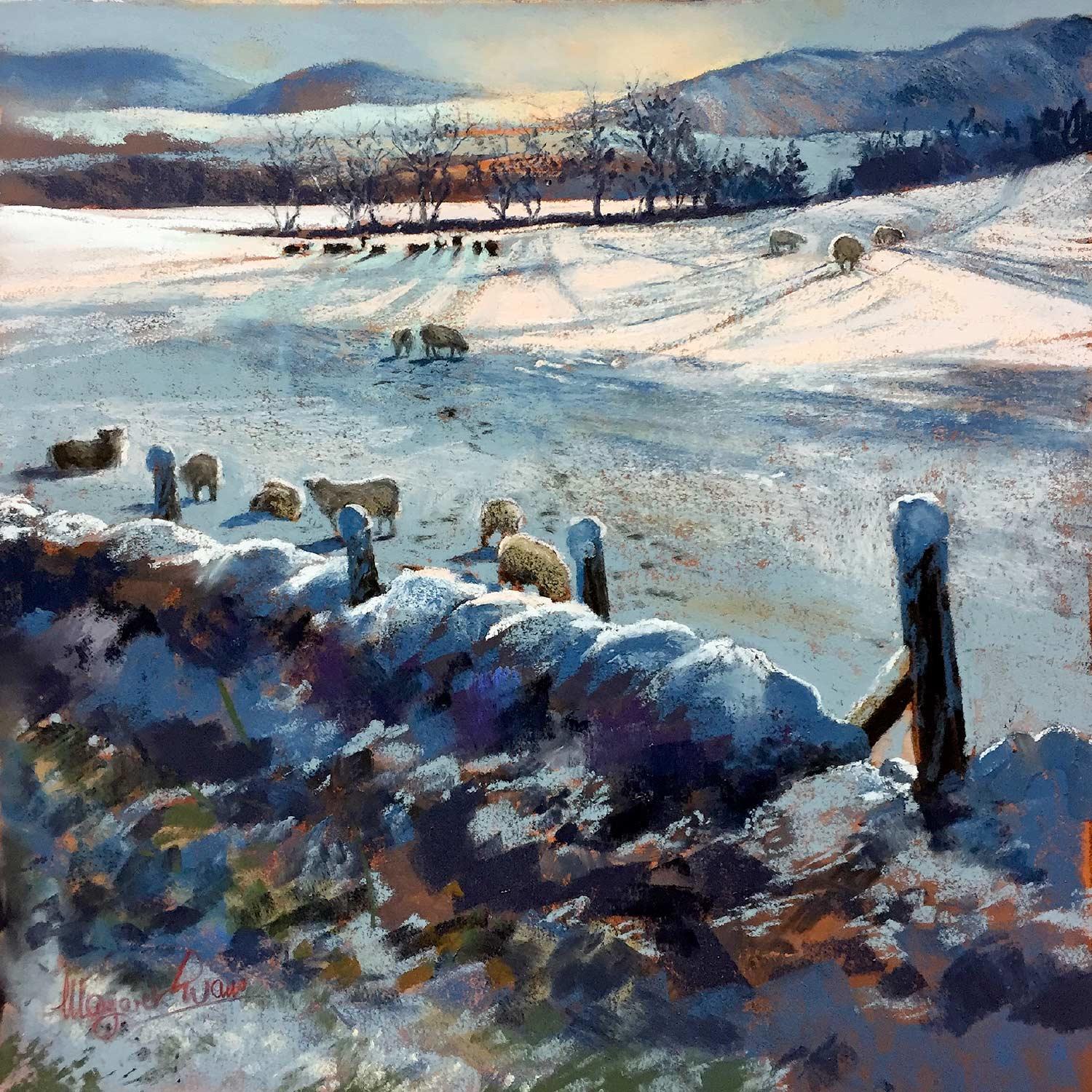 Sheep by Braco by Margaret Evans