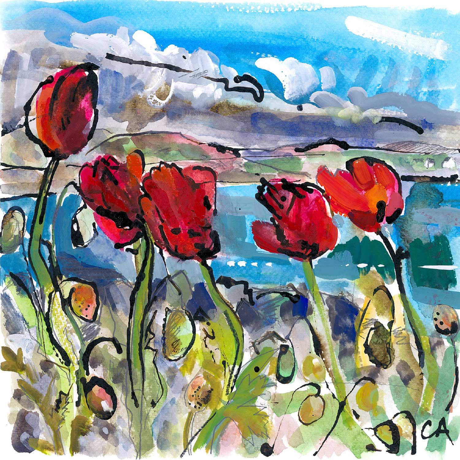 Poppies by Clare Arbuthnott