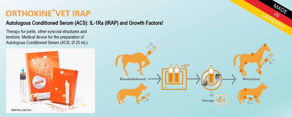 Orthokine Equine IRAP - Regenerative Medicine