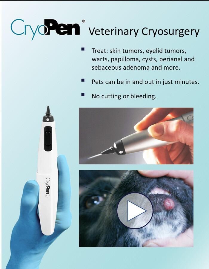 CryoPen Veterinary Cryotherapy - The Gold Standard of Care