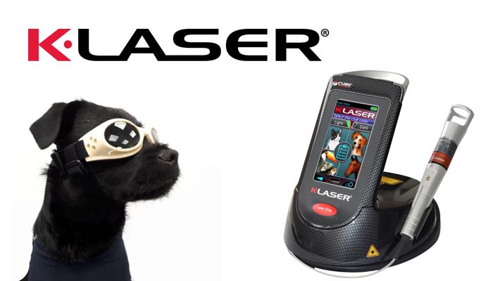 K-LASER veterinary laser therapy