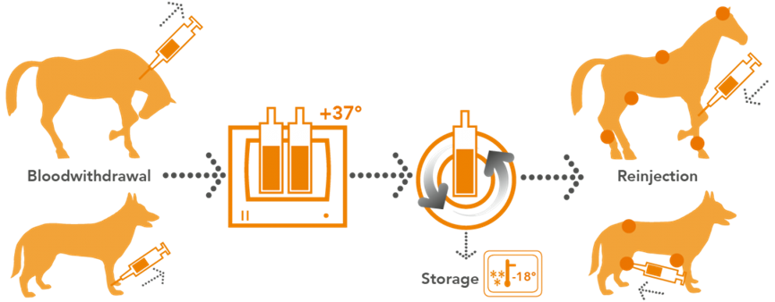 irap-process-865x338.png