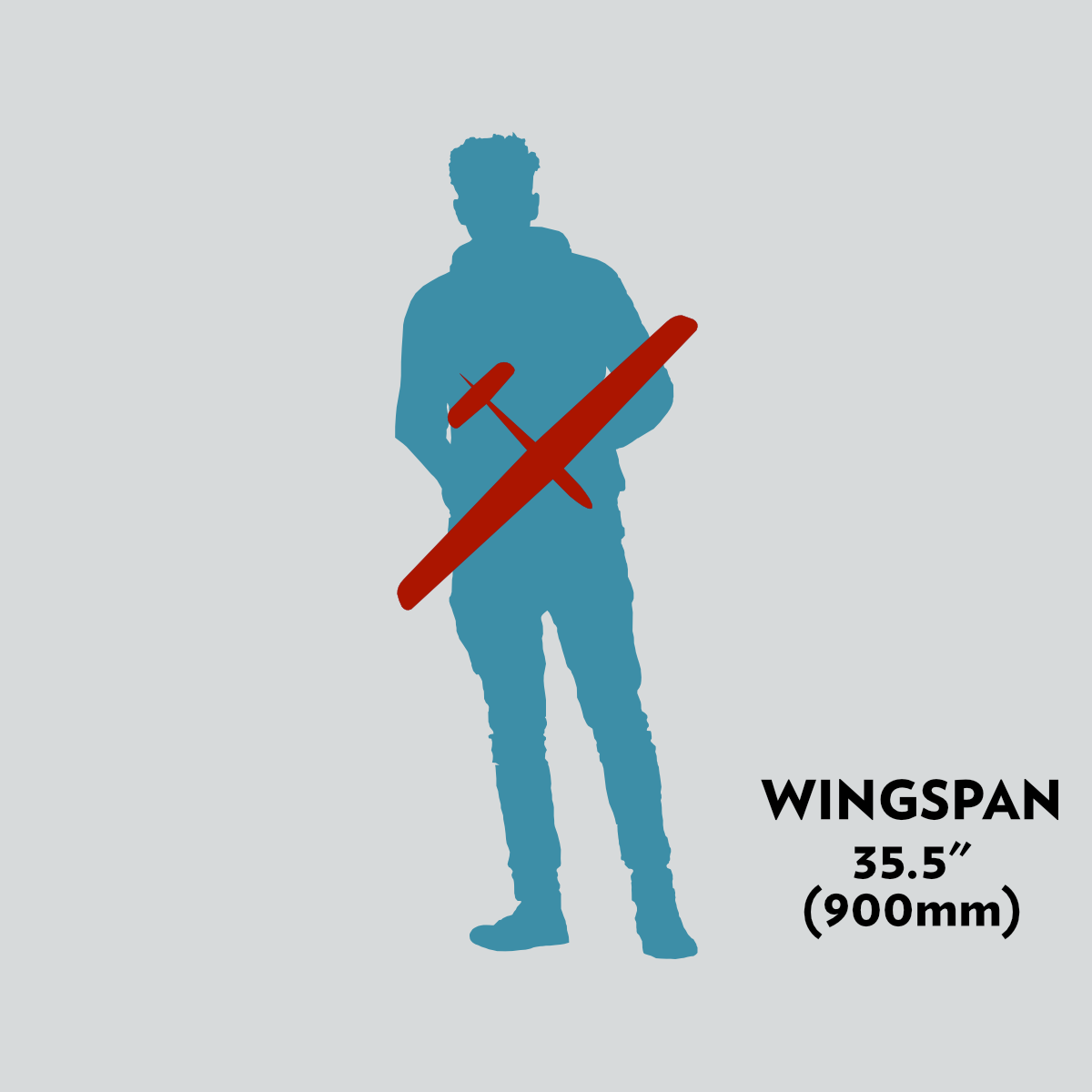 35.5" (900mm) Wingspan
