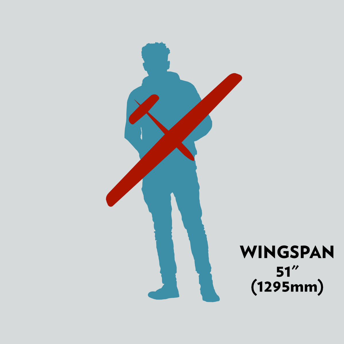 51" (1295mm) wingspan