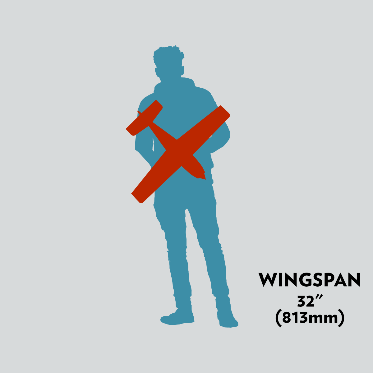 32" (813mm) wingspan