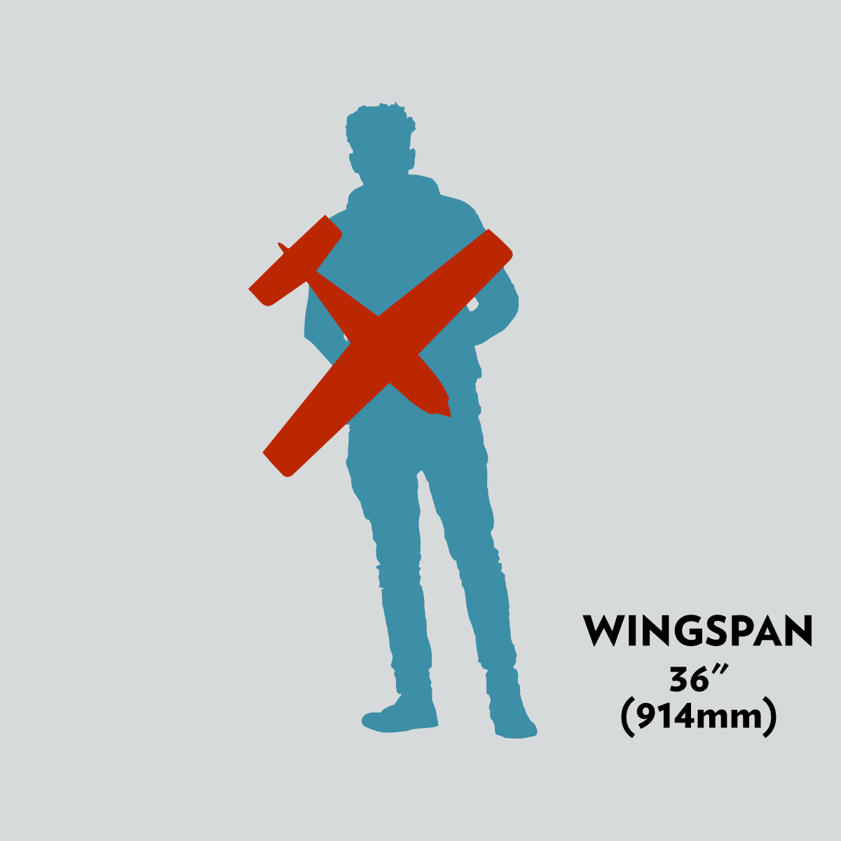 36" (914mm) Wingspan