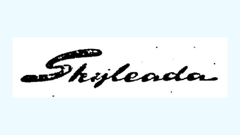 Skyleada