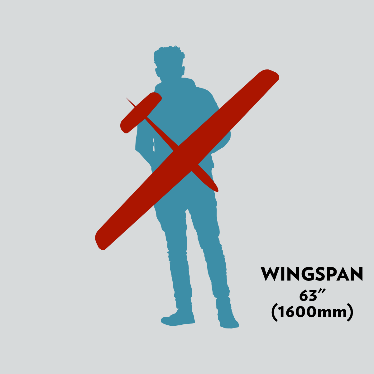 63" (1600mm) wingspan