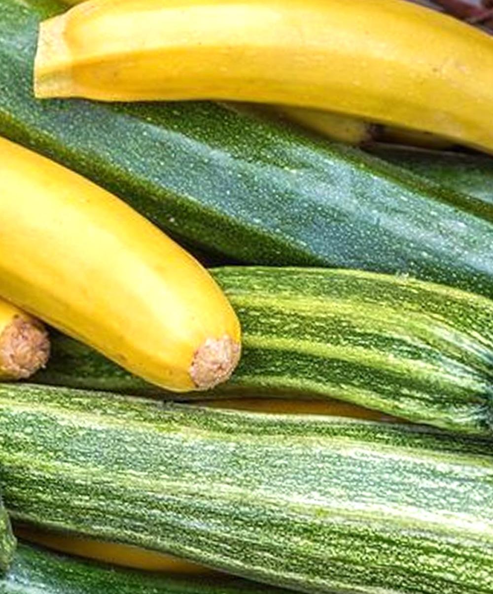 Courgettes