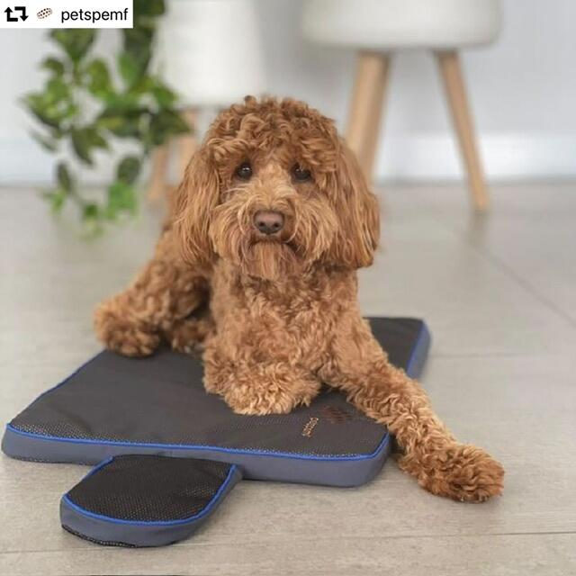 The UK Home of PetsPemf: Proven PEMF Therapy Mats For Dogs and Cats