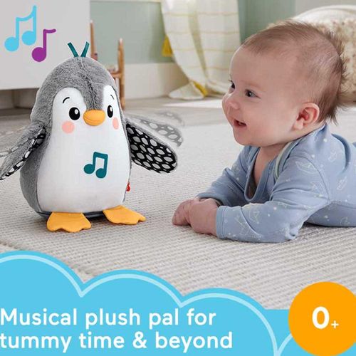 Fisher Price Flap 'N' Wobble Penguin