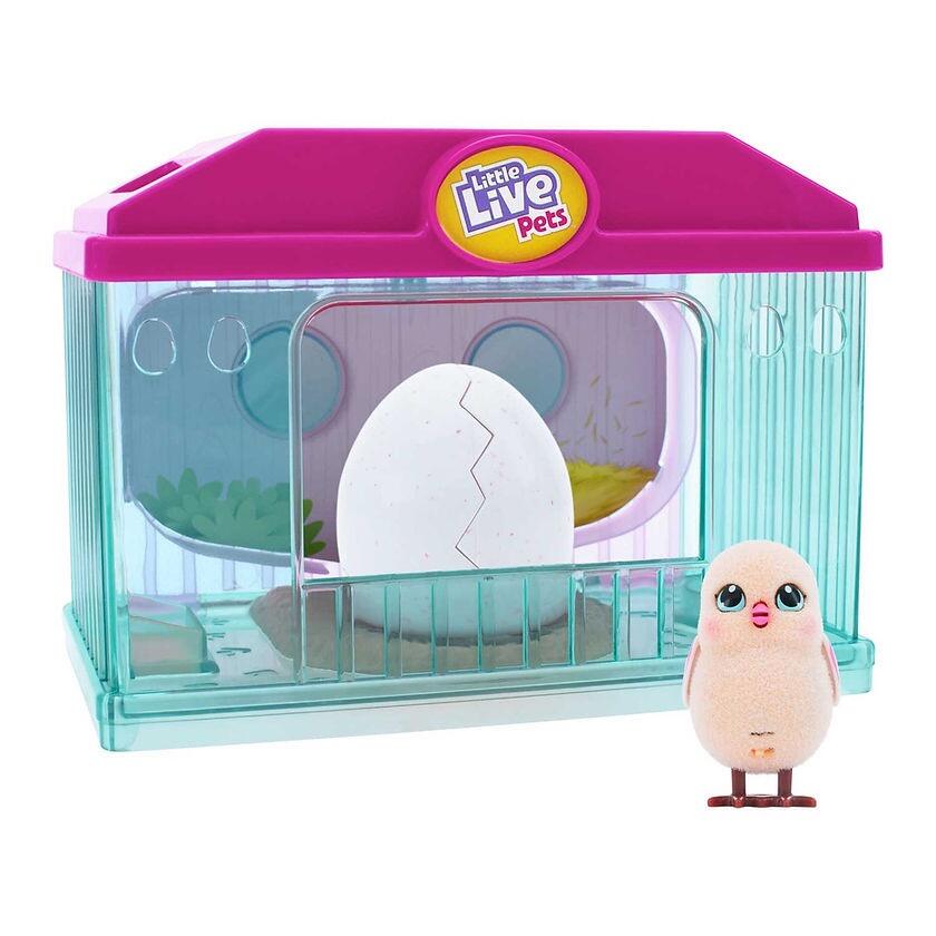 Little Live Pets Surprise Hatch And Hop Chick Playset