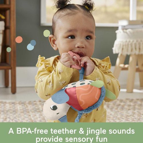 Fisher Price See Me Bounce Turtle