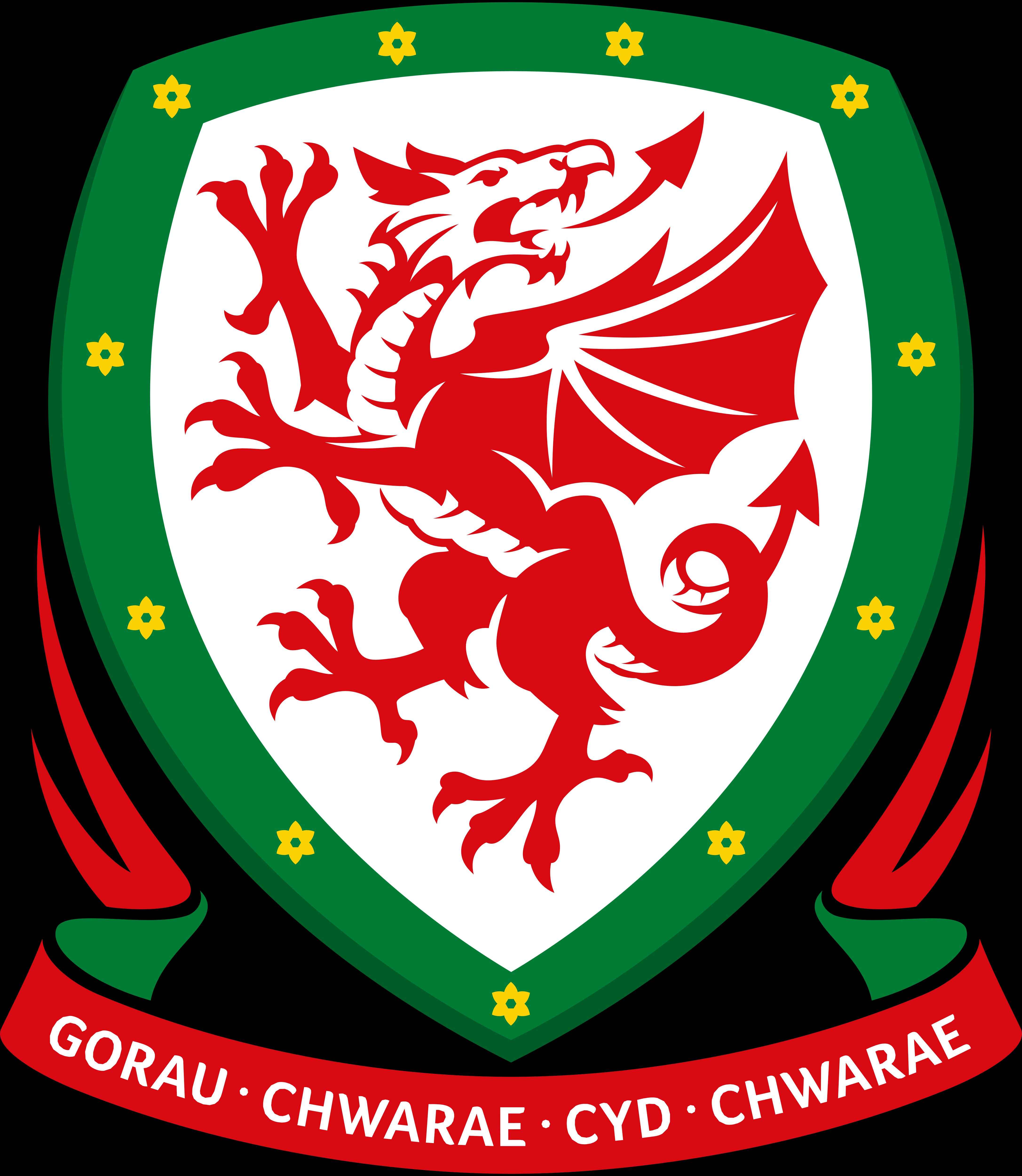 CYMRU / WALES NATIONAL TEAM