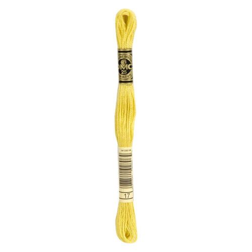 DMC Mouliné Stranded Cotton 8m Skein - 17